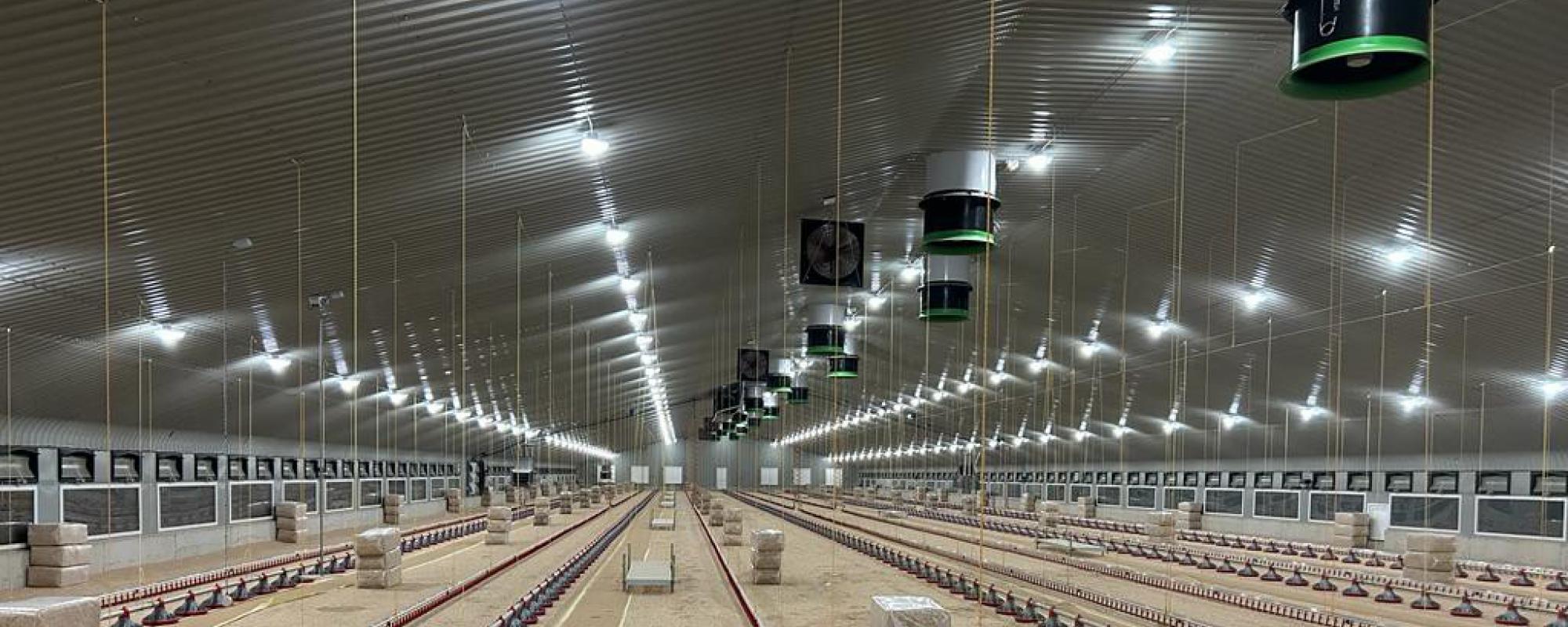 Agrarische verlichting voor de pluimveehouderij