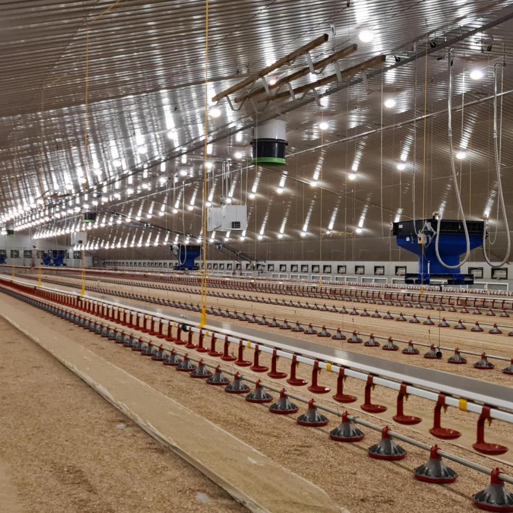 Betere dierprestaties met een flexibele lichtregeling