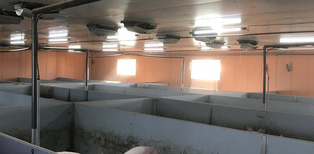 Fantura enkelvoudige plafondinlaat in varkensstal