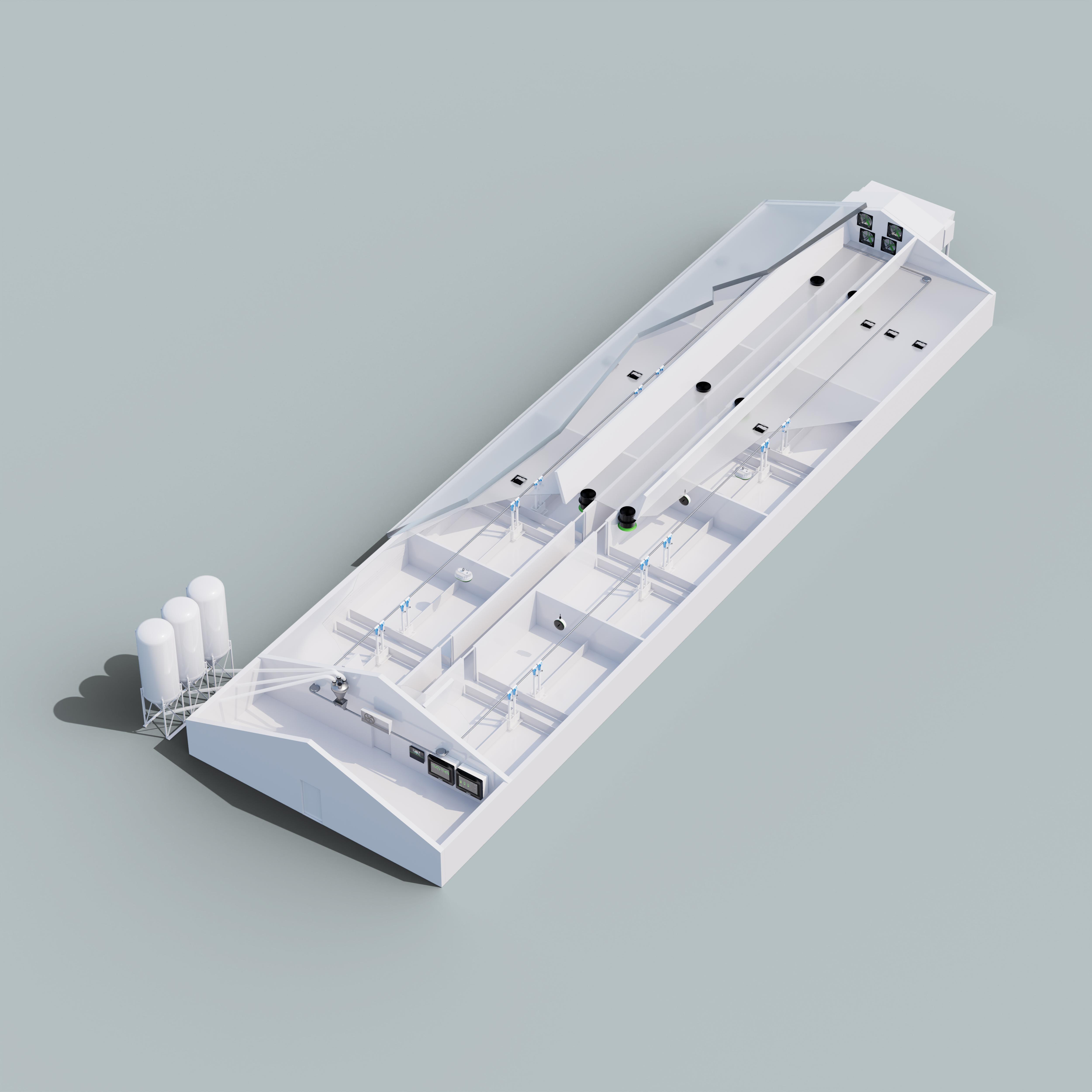 Vleesvarkens in afdelingen